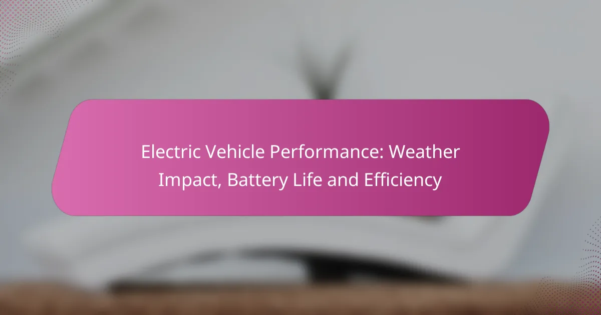 Electric Vehicle Performance: Weather Impact, Battery Life and Efficiency