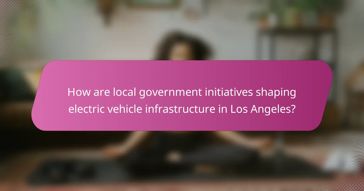 How are local government initiatives shaping electric vehicle infrastructure in Los Angeles?