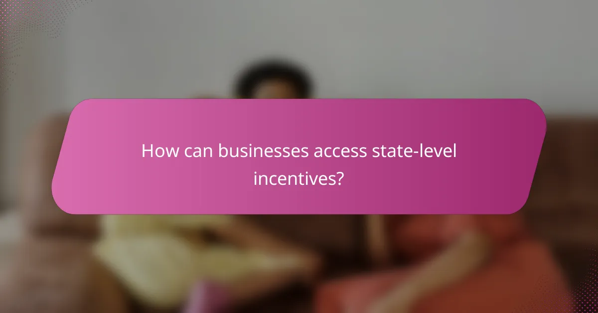 How can businesses access state-level incentives?