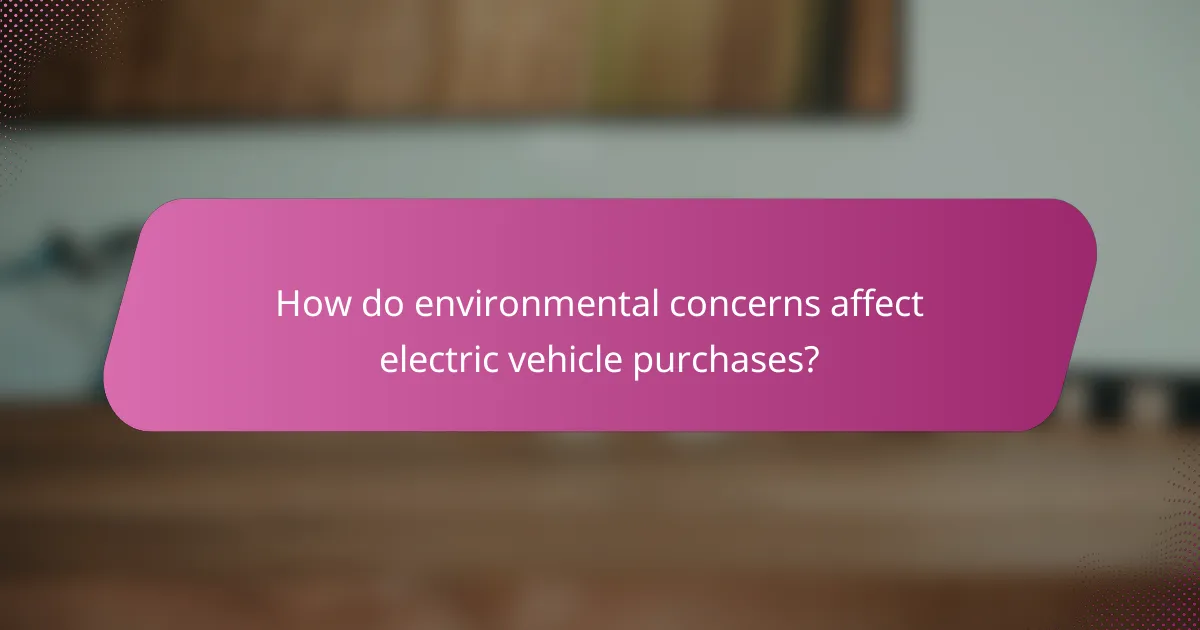 How do environmental concerns affect electric vehicle purchases?