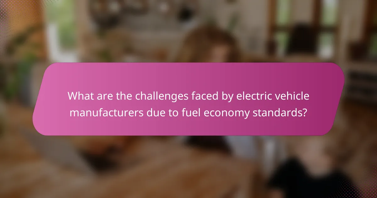 What are the challenges faced by electric vehicle manufacturers due to fuel economy standards?