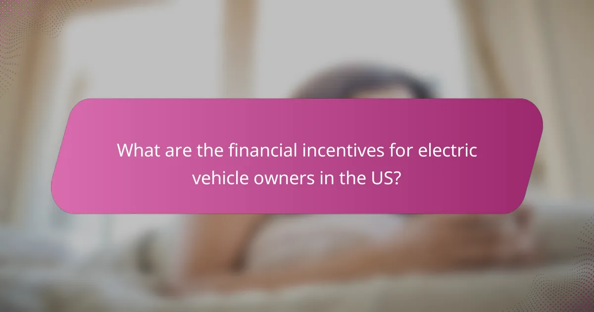 What are the financial incentives for electric vehicle owners in the US?