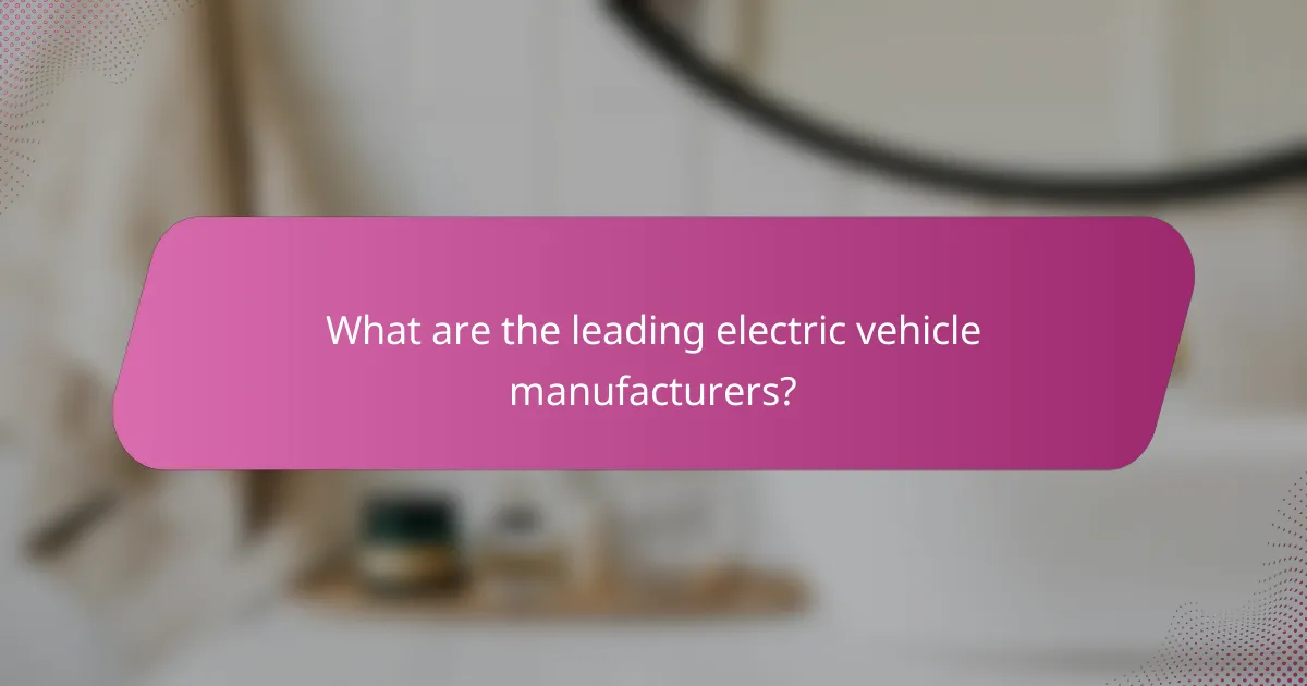 What are the leading electric vehicle manufacturers?