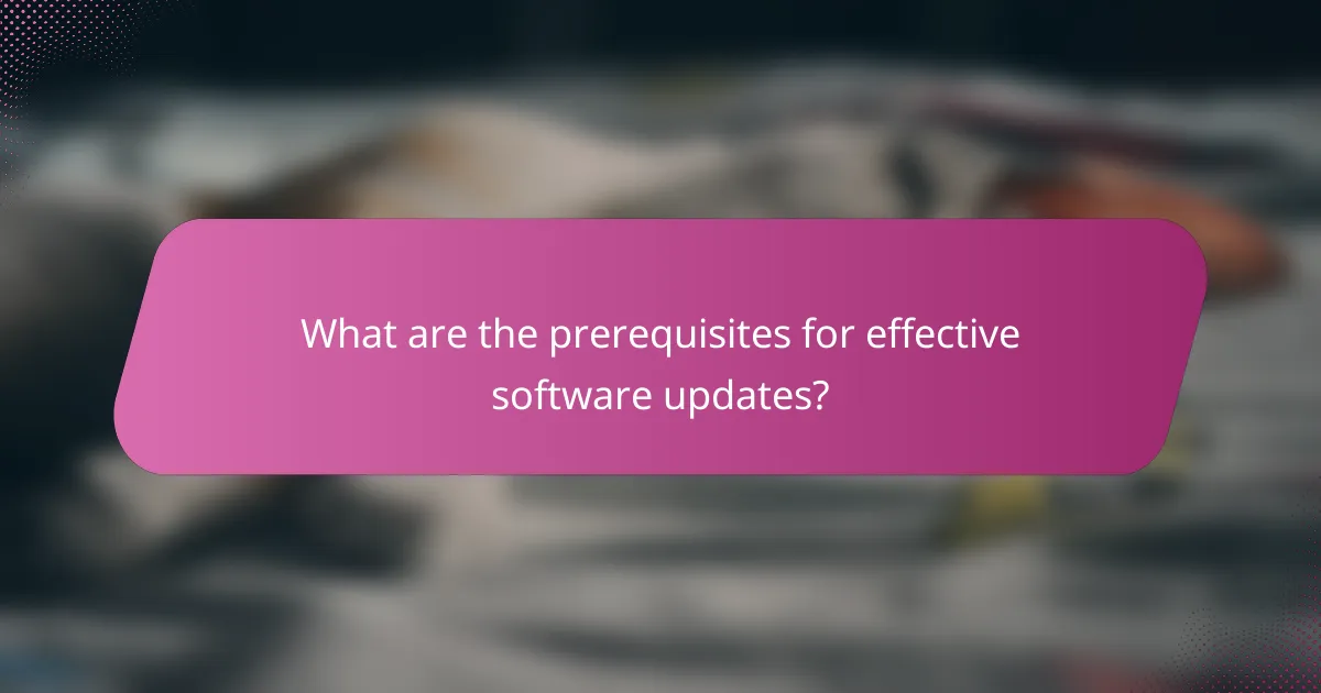 What are the prerequisites for effective software updates?