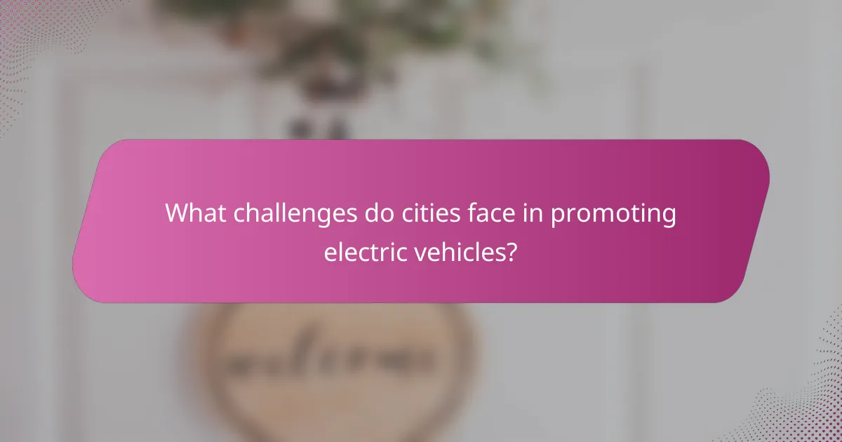 What challenges do cities face in promoting electric vehicles?