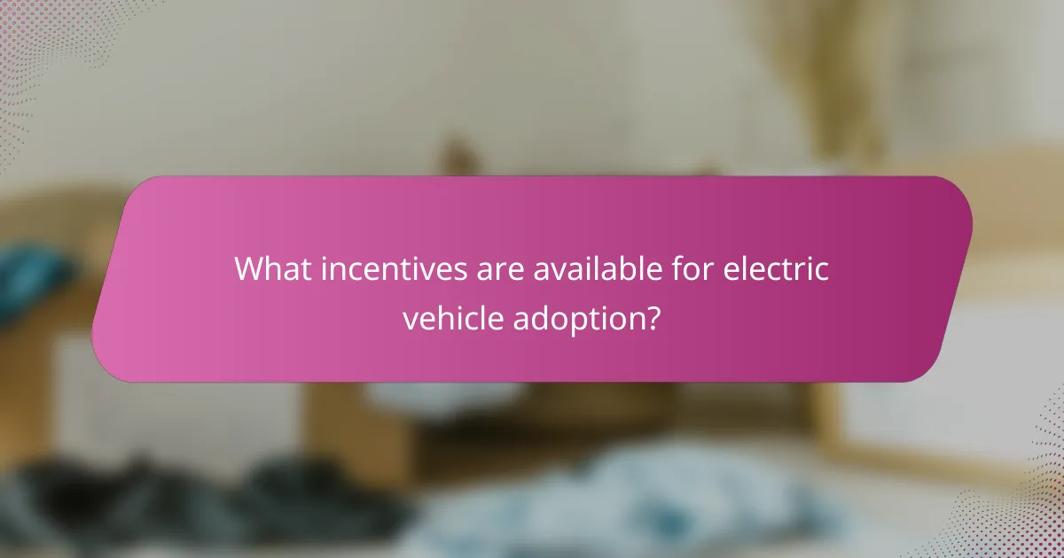 What incentives are available for electric vehicle adoption?